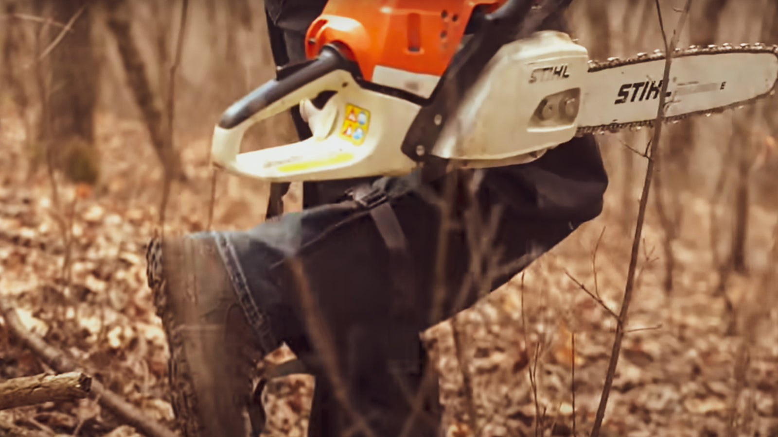 Deer Habitat Improvements You Should Make