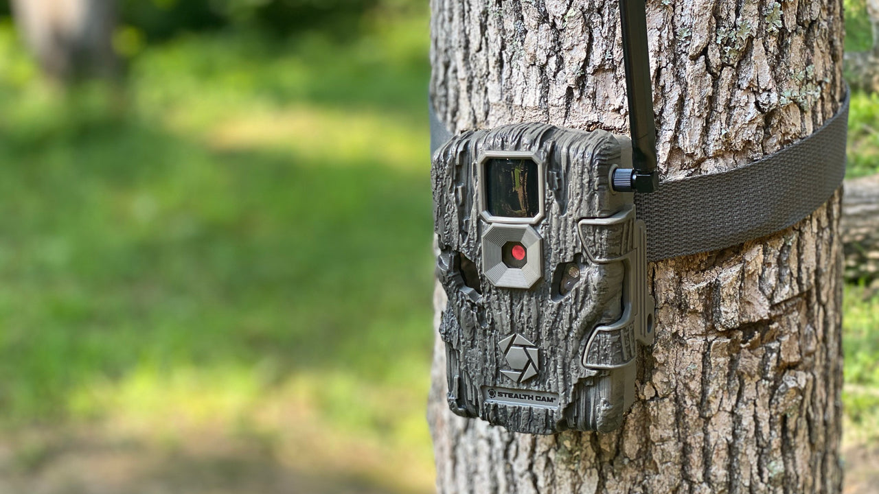 Deer Hunting Chores for Winter/Spring Transitions