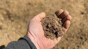 How to Take a Soil Sample for Food Plots