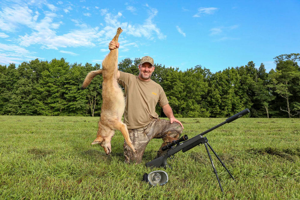 Hunting Summertime Coyotes
