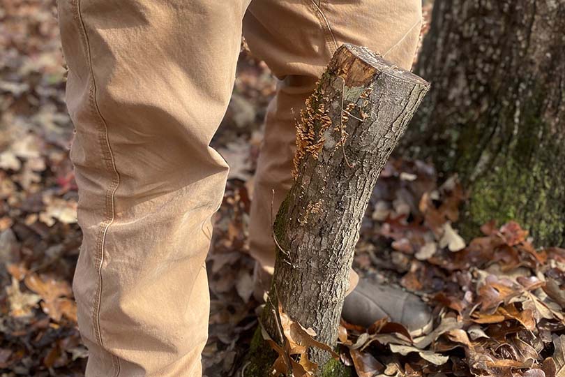 Impaled: The Michael Perry Treestand Accident