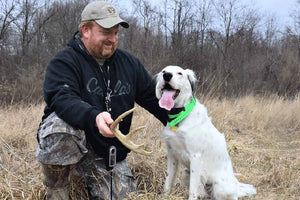 Best Dogs for Finding Shed Antlers