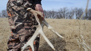 Shed Hunting Basics