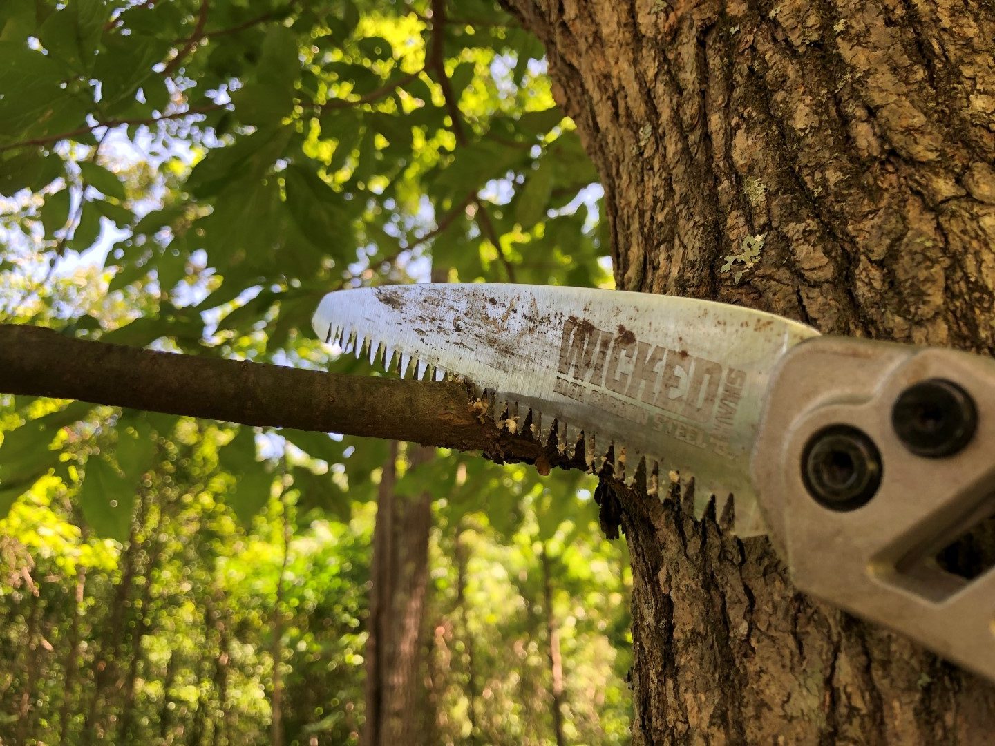 Summer Chores for Deer Hunters